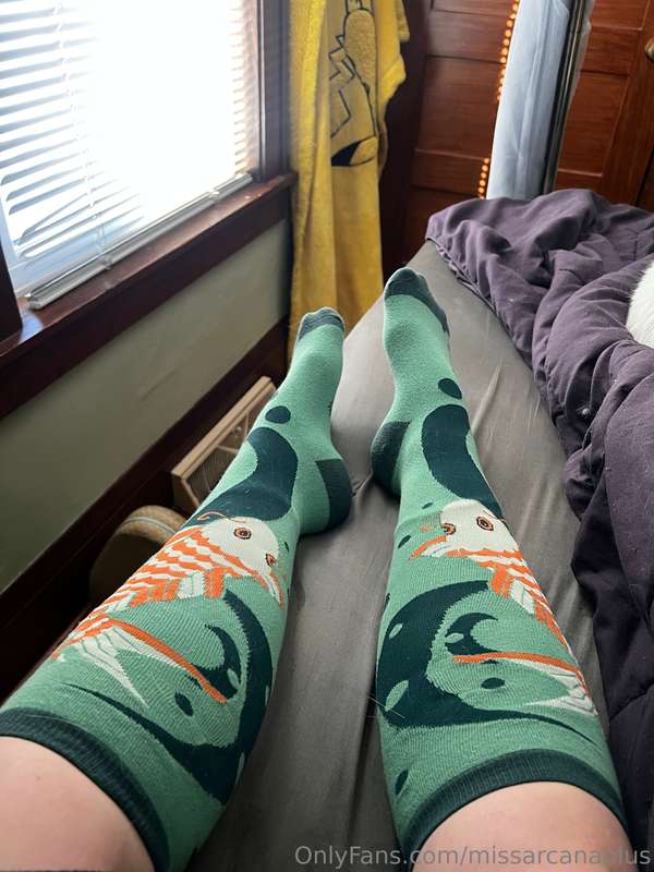 I cleaned my *costume* closet and found all my sock it to me.. 5