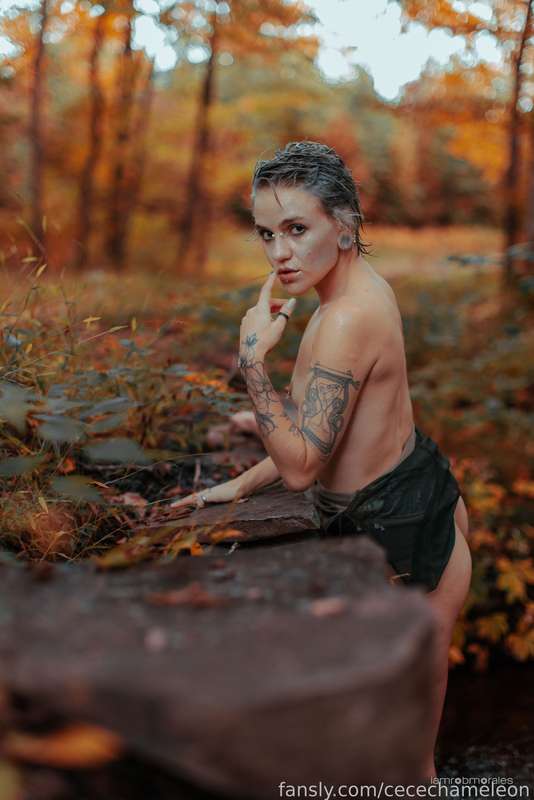 Cecechameleon - Fansly - 03 Oct, 2024 19