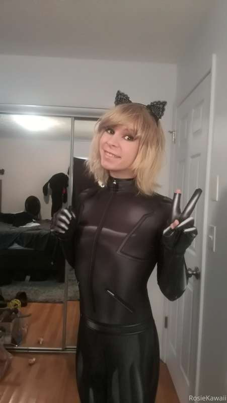 cat noir set 1/4 x :3
