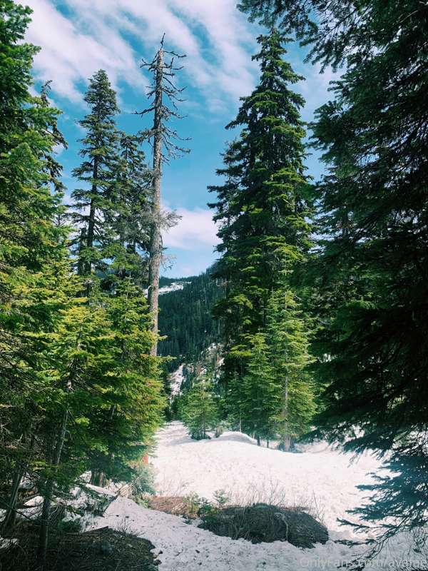 Just got back from running around in the forest for a few da.. 3