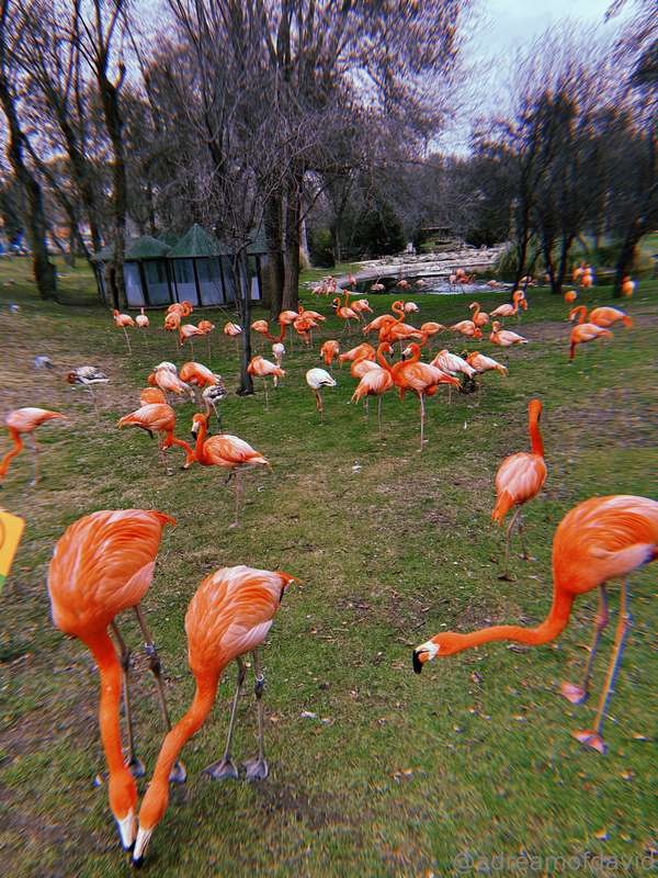 A trip to Madrid with @nanidanielg 🥰 2