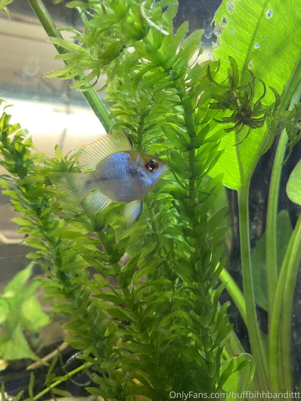 Tip me under this post so I can buy more
Fish ??? (I’ll love.. 2