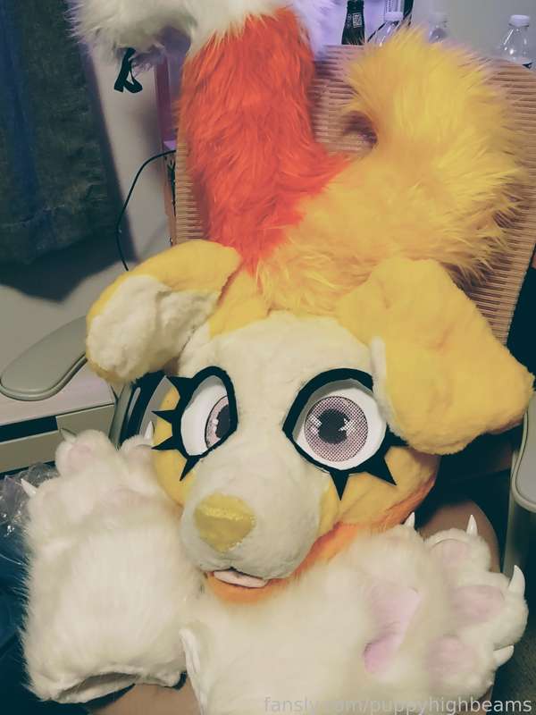 Puppyhighbeams - Fansly - 08 Feb, 2025