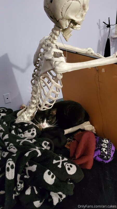 If your cat sits on your lap you don't move no matter what! ..