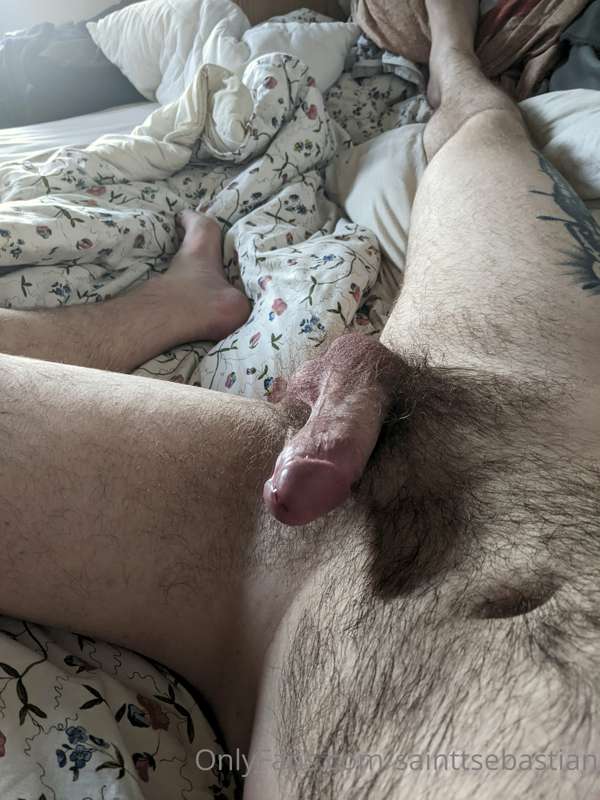 What lovely unexpected morning 3