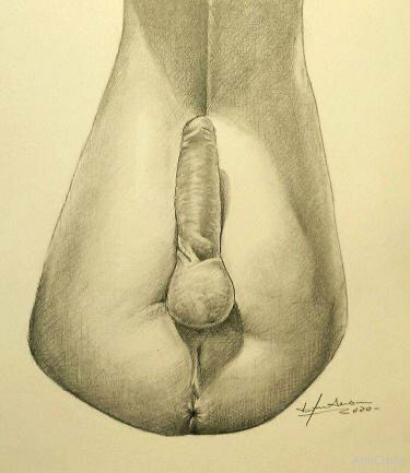 Art by Bascunan, a Chilean artist, and my two pics he used f..