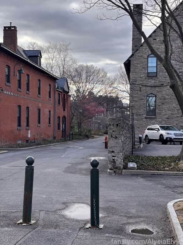 Alyciaelvie - Fansly - 04 Mar, 2024 28