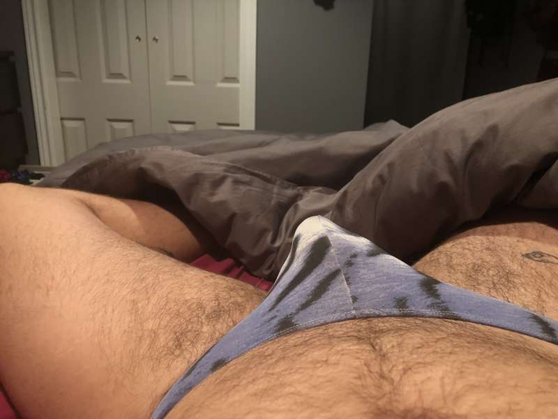 lazy cat today