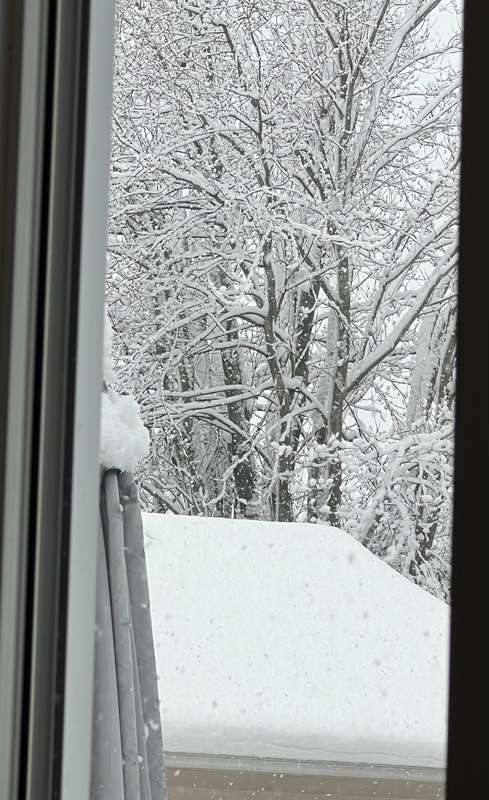 It snowed again 😭 I guess I’ll be under my heated blanket al..
