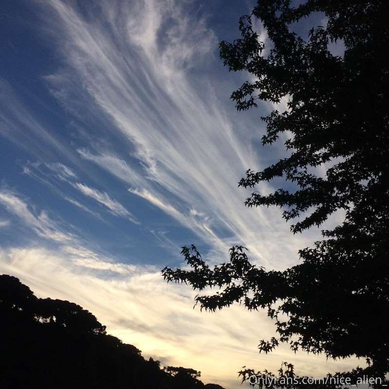Trails 1