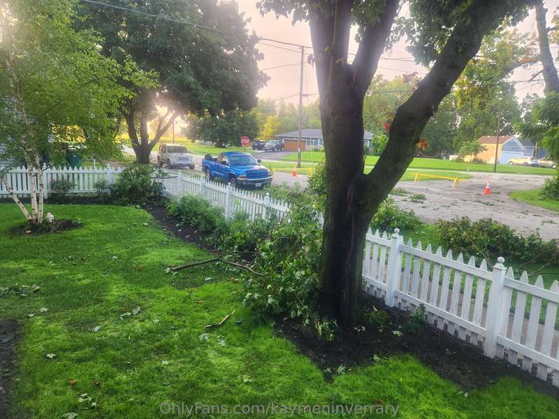 My poor fucking maple trees🥲😭