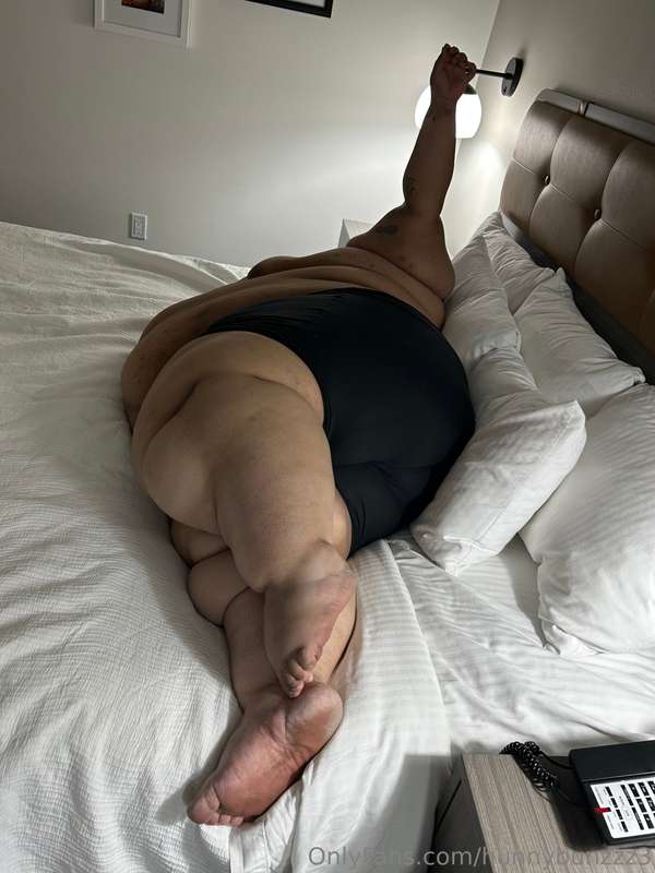 🐷🐖 1