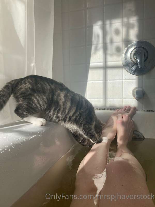 This week’s silly Sunday post… someone wanted to take a bath.. 3