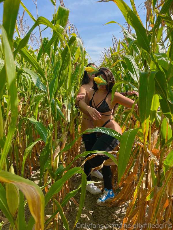 When you're minding your business being sexy in a corn field..