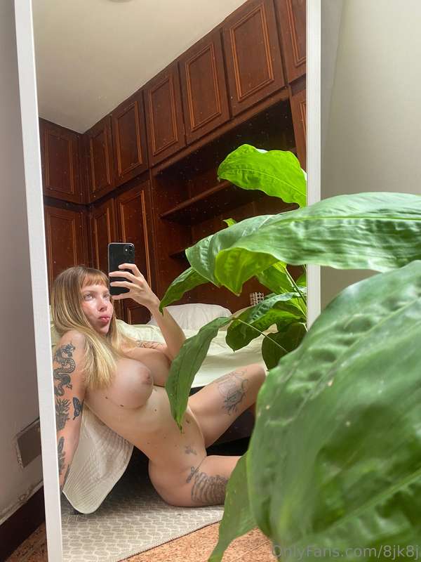 🌴🌲🍀🌲🍀🌲🌲 9