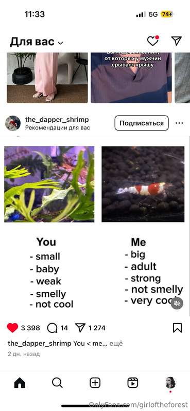 Love memes  8