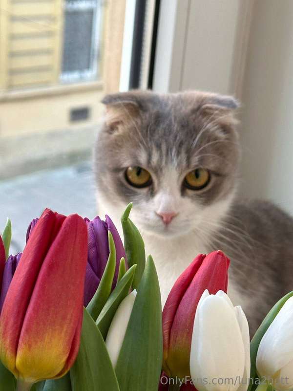 Happy International Women's Day to me )) What will you get m..