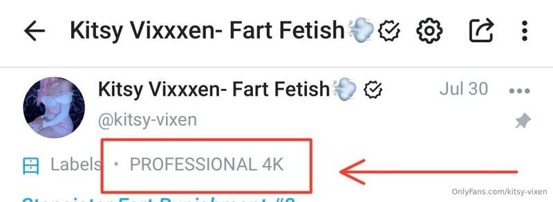 ***DEAR EVERYONE!!!***
***CLICK PROFESSIONAL 4K ON MY PROFIL..