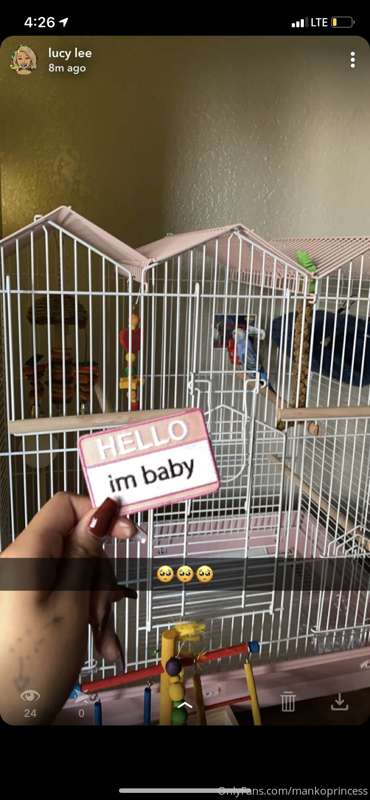 This is what I spend y’all’s money on LOL say hello to baby!
