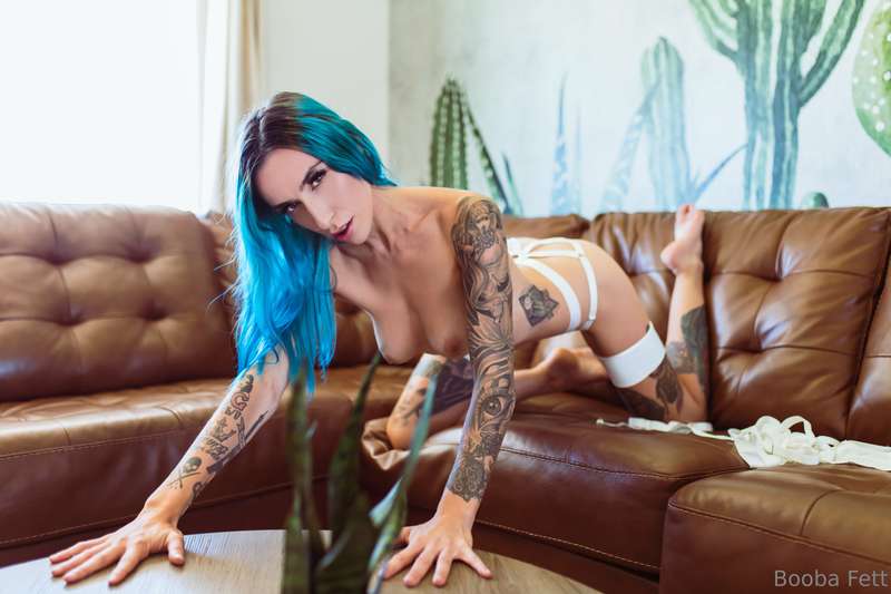 Cactus in the Valley 🌵 hit goal to unlock the spicy half of .. 3