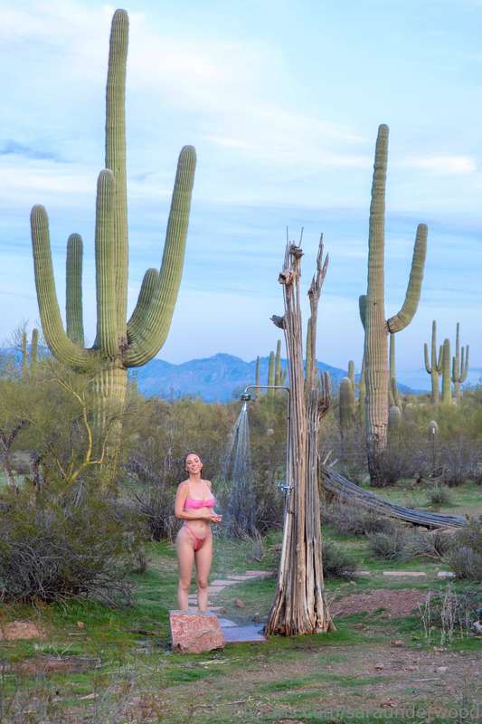 I don't know, some of these cactuses seem like they're a LIT.. 2