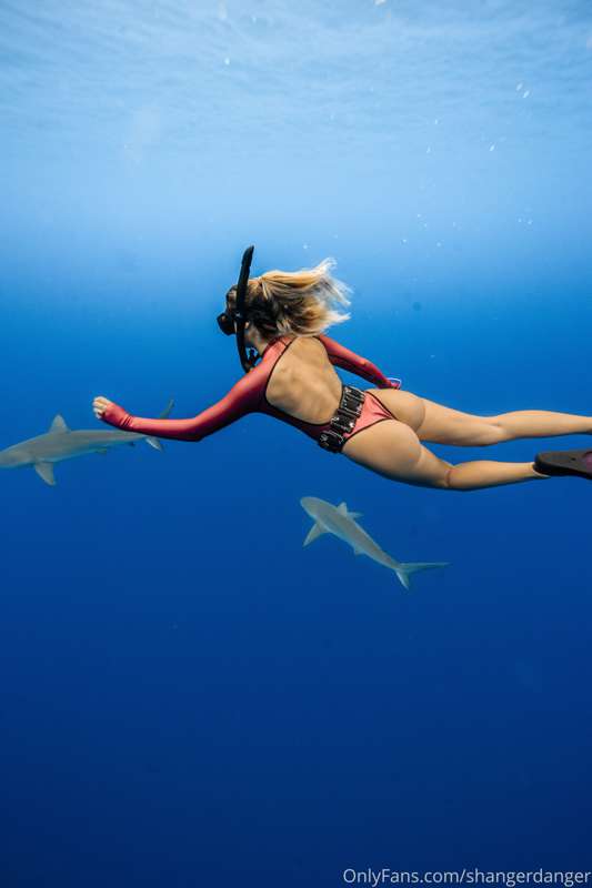 Check ur messages for some bootyful content of our shark mas.. 1