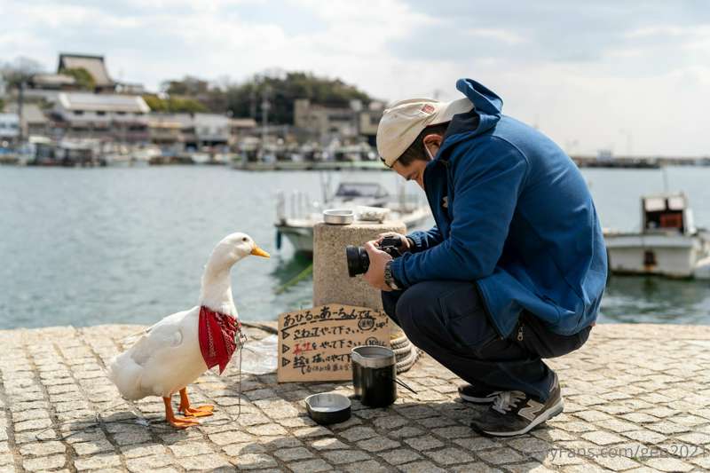 いつぞやの鞆の浦・呉を案内した時

When I showed you around Tomonoura and Wu 13
