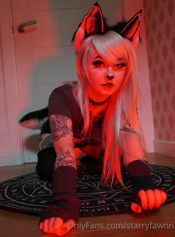 Loona is back!!<3 more photos tomorrow then 3 videos in cosp.. 9
