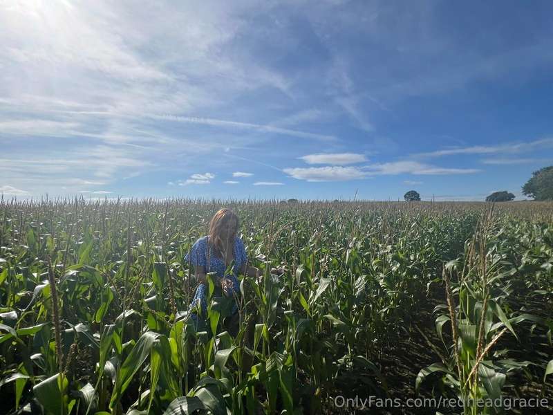 Who’d of thought I’d be doing corn in a field but here I am ..