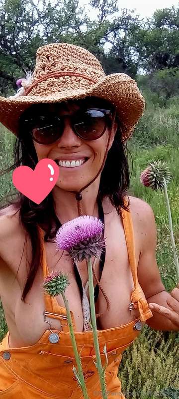 Sabias que las flores del cardo son ideales para depurar el .. 1