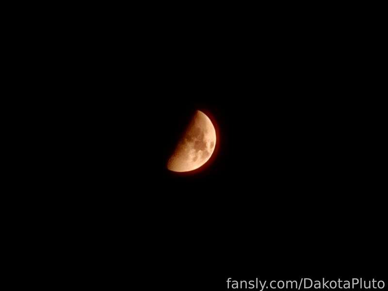 Dakotapluto - Fansly - 13 Aug, 2024 6