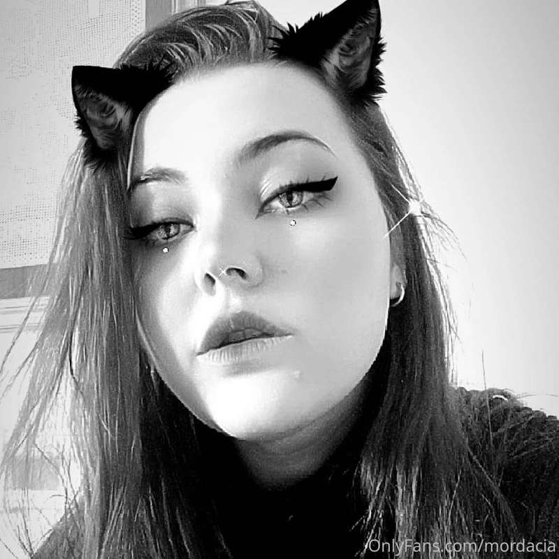 Nice filter 🐱❤️