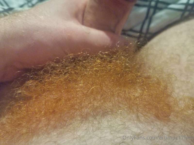 Do you like ginger pubes?

Te gusta los cabellos pubianos ro..