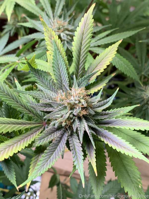 High Time 😬🤫