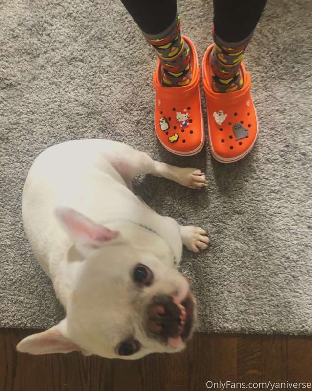 #COTD ft Jax  I just got a bunch of new Jibbitz- a Porg, Hel.. 1