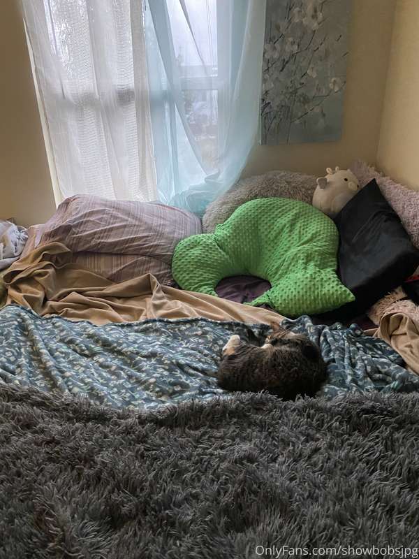 Deep cleaned my room today and before I could even take the ..