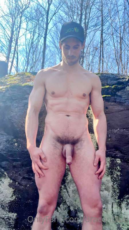 Forest shots