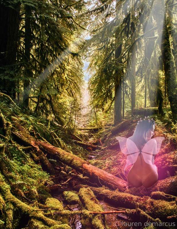✨🔮The forest was quieter than it used to be.Lauren walked ba..