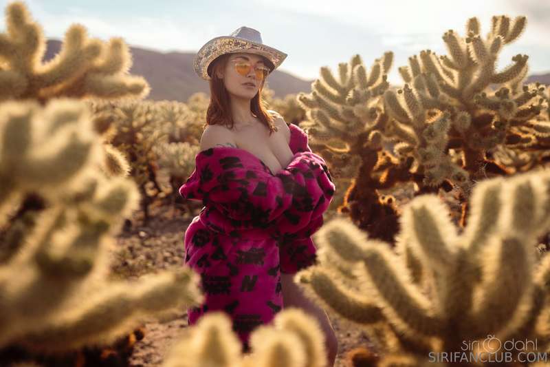 *exploring Joshua Tree* 🖤🌵 5