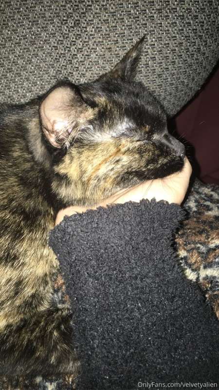 the pussy pic you’ve all been waiting for