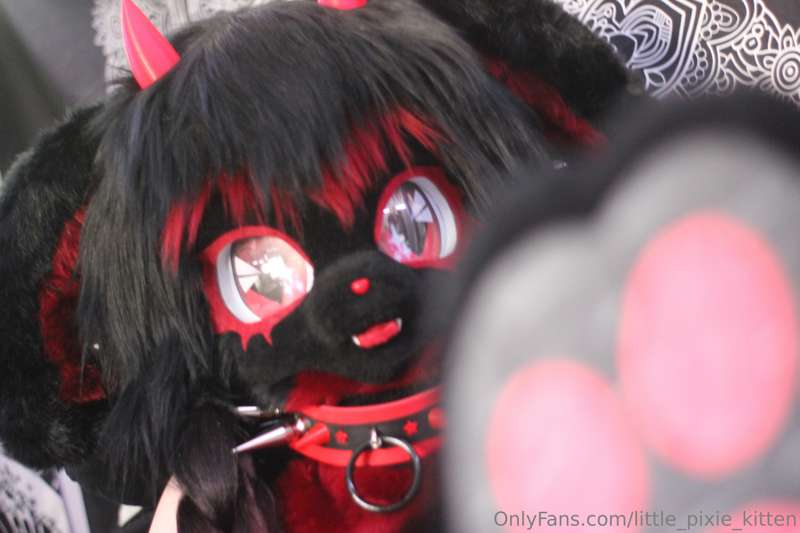 Do you like my new fursuit?

Ps.Thank you so much to the sma.. 4