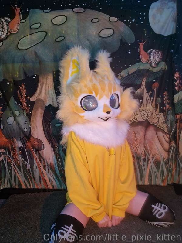 One of my new fursuit heads, Kiko aka Lil Tra$h Bby 💛 🗑 6
