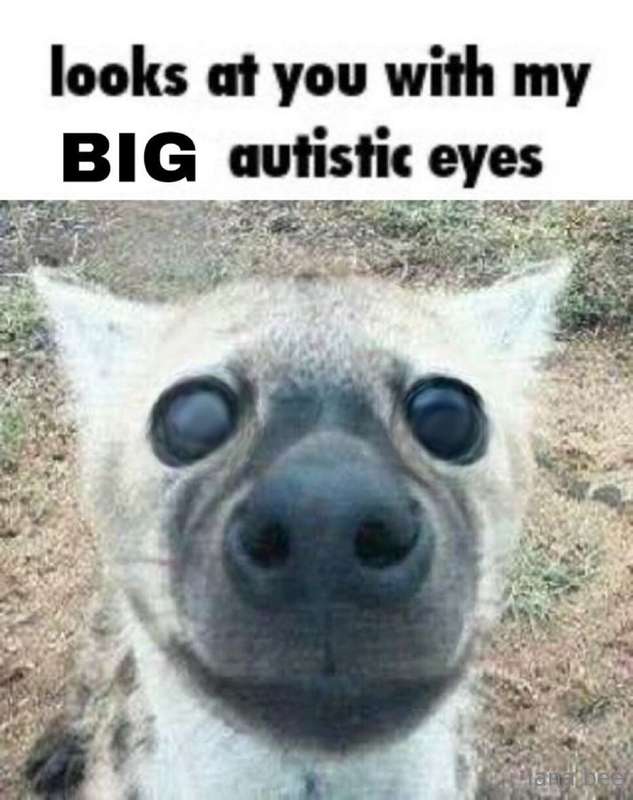 Meme dump :3 6