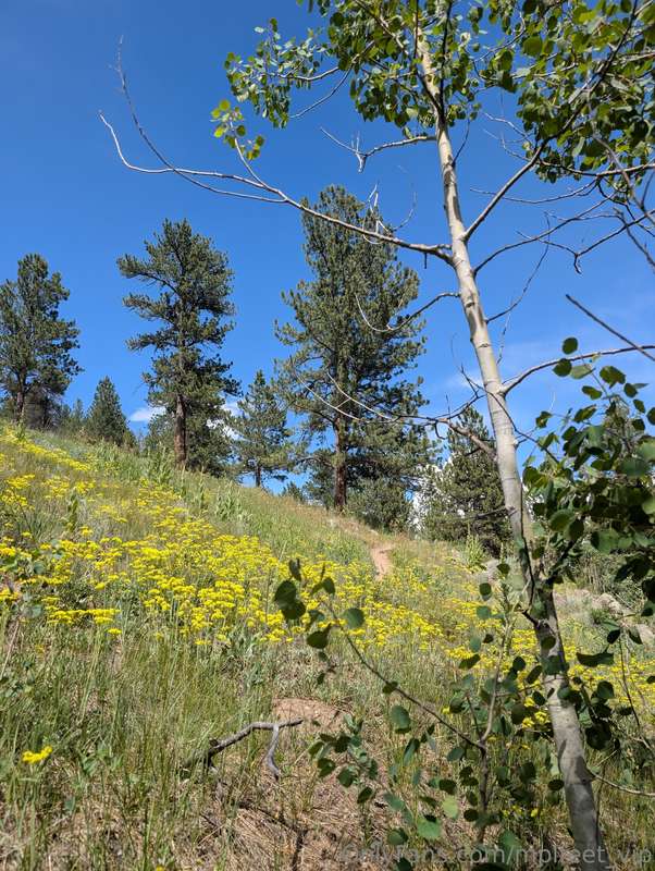 Went hiking the other day it was absolutely gorgeous outside.. 6