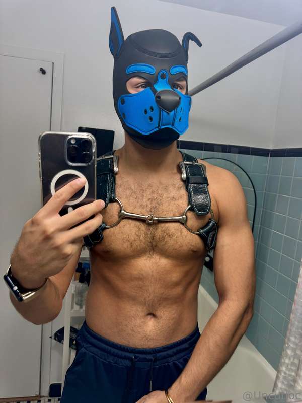 woof🐶 2