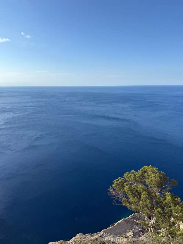 Into the blue💙