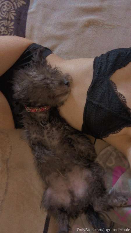 Descansando