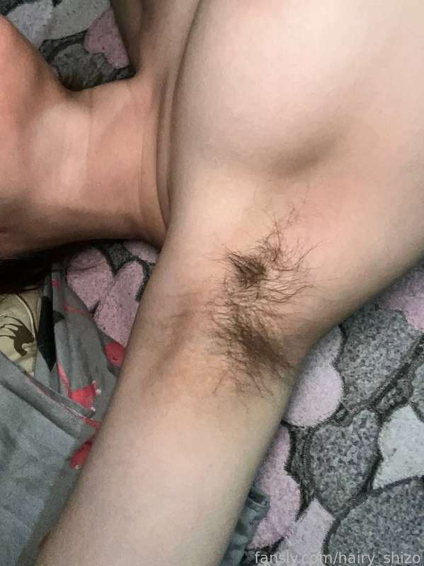 Hairy_Shizo - Fansly - 16 Jan, 2024