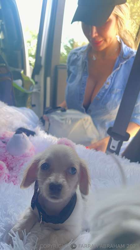 My Man got me a baby puppy 🐶 today ! What should I name my p.. 1