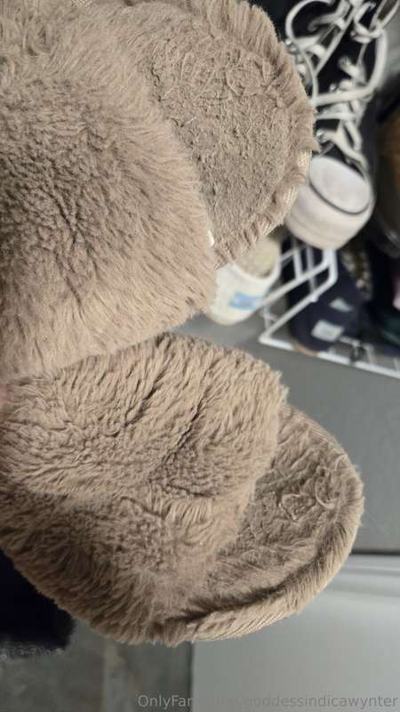 Ask prices include shipping. Priority mail. Ship in the US o.. 2